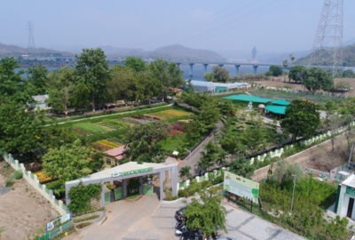 Ekta Nursery 5